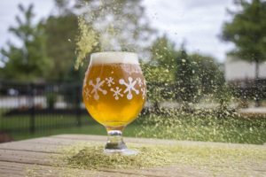Craft Beer and SaaS Capital 